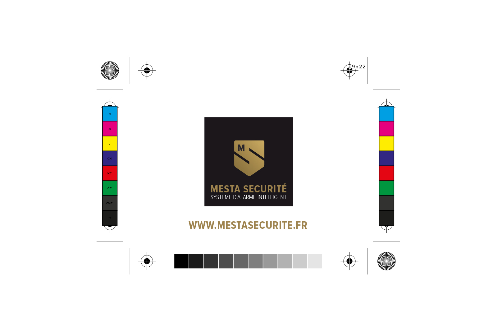 Carte de visite Mesta sécurité